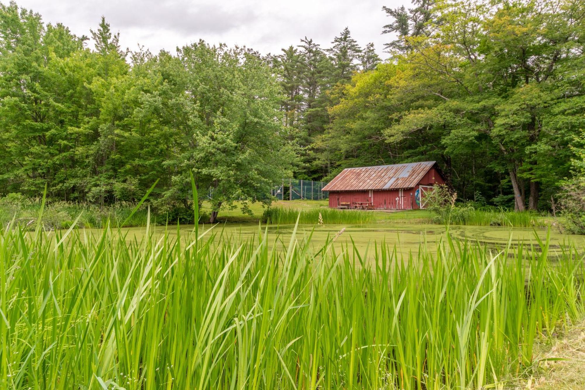 Cranmore Mountain Lodge Bed & Breakfast North Conway Eksteriør bilde